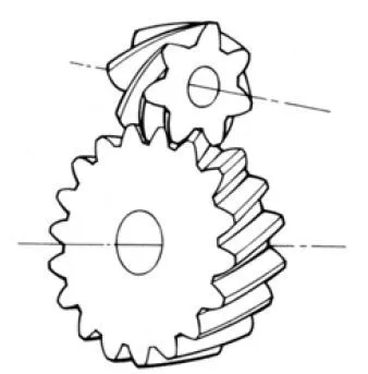 Fig.1.11 Screw Gear