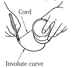 making involute curve