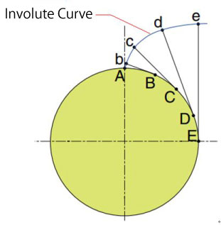 involute curve