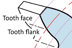 tooth flank